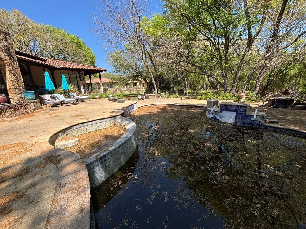 Before: Green pool clean-up